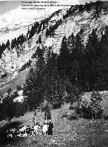 1953 col de la Saulce